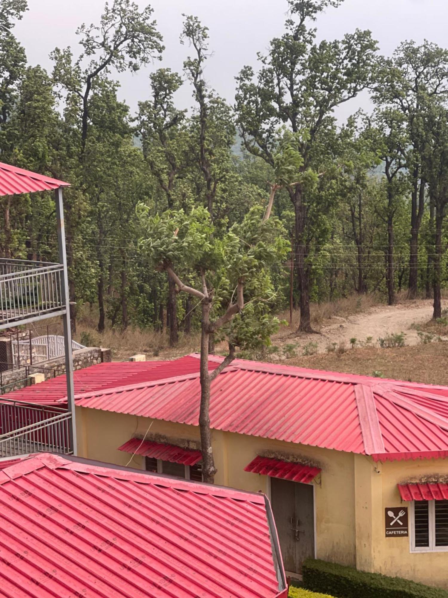 Hidden Nature Resort دهرادون المظهر الخارجي الصورة
